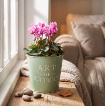 Artikel Blumentopf Zink mintgrün Ø15cm H13,5cm mit Aufschrift „Art of Nature“ für Innen- und Aussenbereiche