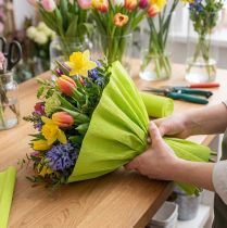 Artikel Floristen-Krepppapier aus lichtbeständigem Material 50x250cm Maigrün für kreative Dekorationen