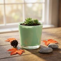 Artikel Glastopf aus Glas Ø10cm H8,5cm Mintgrün
