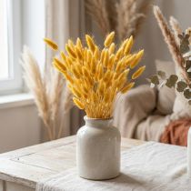 Artikel Lagurus Gelb – Hasenschwanzgras, 40–55cm, Dekogras 25g, Trockenfloristik