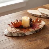 Artikel Birkenscheiben oval Natur Holz 18–22 cm 10er-Set für Dekoration und Basteln