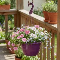 Artikel Blumenampel aus Kunststoff, Ø25 cm, Lila, für Innen- und Aussenbereiche