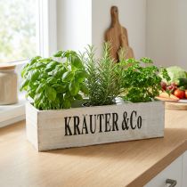Artikel Pflanzkasten aus Holz Weiss 36×12×10cm mit Schriftzug Kräuter & Co