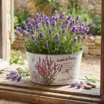 Artikel Runde Kunststoff-Blumenschale mit Lavendel-Print Ø21cm H11cm für Innen- und Aussendekoration