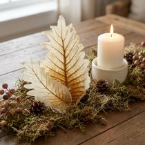 Artikel Getrocknete und gebleichte Eichenblätter – 35 Stück, ca. 22 x 12 cm, Naturprodukt für Gestecke und Herbstdekoration