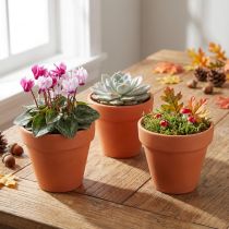 Artikel Blumentöpfe aus Ton Ø6cm H5cm Terrakotta 10 Stück