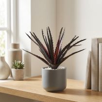 Artikel Aloe Vera künstlich Lila 26cm aus Kunststoff
