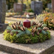 Artikel Wildlilie Naturdeko Trockenblumen ca. 6–8 cm 50 Stück naturfarben