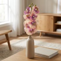 Artikel Orchidee Phalaenopsis künstlich 7 Blüten violett creme 73cm