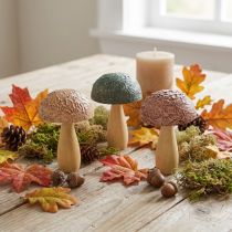 Artikel Holz-Deko-Pilze 11x7,5cm Sortiert Herbstfarben Set 3-Stück