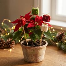 Artikel Blumenstecker Weihnachtspäckchen Holz 2,5cm Rot Weiss Grün 15 Stück