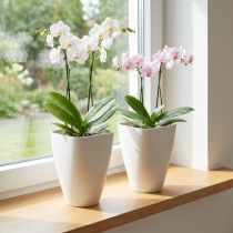 Artikel Orchideentopf Kunststoff Weiss 16,5cm – Set mit 2 Stück