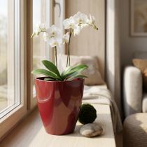 Artikel Orchideentopf Kunststoff glänzend Bordeaux Ø12,5cm H17cm