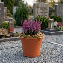 Artikel Topf aus Kunststoff Terrakotta Ø15cm H13cm für Blumen