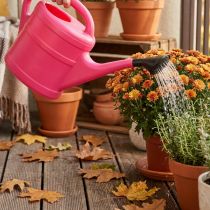 Artikel Garten-Giesskanne aus Kunststoff 5 Liter Pink mit Brause
