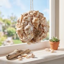 Artikel Deko-Kugel aus Schneckenhäusern Ø12cm, Naturfarben, Hängedekoration