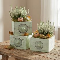 Artikel Pflanzkasten Holz Shabby Grün 15-23 cm Set 3 Stück für Innenräume