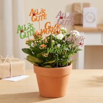 Artikel Glückwunsch Pflanzenstecker Holz 8 cm 6 Stück Orange Rosa Grün