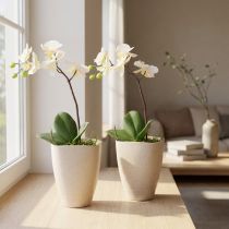 Artikel Orchideentopf Blumentopf aus Kunststoff Beige Meliert 13,5x13xH16,5cm 2er-Set