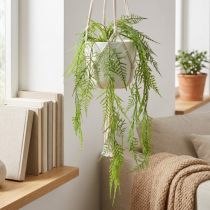 Artikel Künstliche Hängepflanze Asparagus 75 cm Grün aus Kunststoff für Wohnraumdekoration