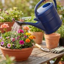 Artikel Gartengiesskanne Kunststoff 10 Liter Blau mit Brauseaufsatz