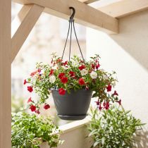 Artikel Blumenampel Kunststoff Ø30cm Anthrazit mit Aufhänger