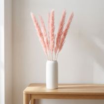 Artikel Pampasgras getrocknet Rosa 72–75cm 6 Stiele für Dekoration