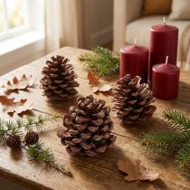 Artikel Pinienzapfen Natur 8-9 cm 3er Set für Dekoration
