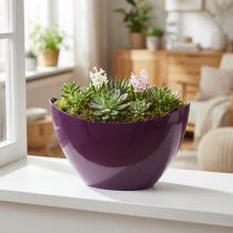 Artikel Pflanzgefäss Kunststoff Lila Oval 20×9×12cm