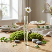 Artikel Reagenzglas Vase 100 mm x 10 mm klares Glas für Floristik