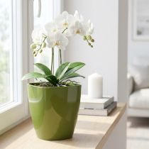 Artikel Orchideentopf Kunststoff glänzend Ø12,5 cm Olivgrün