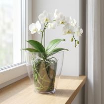 Artikel Orchideentopf Kunststoff transparent Ø12,5cm