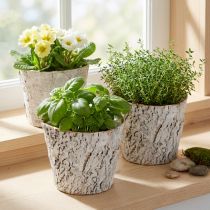 Artikel Pflanzentopf aus Birkenrinde mit Folienauskleidung 12 cm weiss rustikale Dekoration 4er-Set