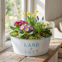 Artikel Metall Blumenschale rund 25×10cm Weiss-Blau Pflanztopf für Innen- und Aussendekoration