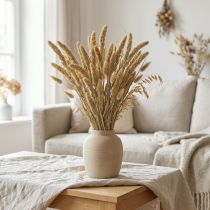 Artikel Trockenblumen Setaria Borstenhirse Naturfarben 40–60cm 60g