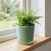 Artikel Glas Blumentopf Grün Ø11 cm H11,5 cm für Zimmer- und Balkondekoration