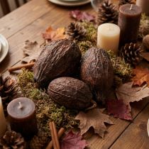 Artikel Kakaofrucht Deko Holz Natur 10-18cm Braun 15 Stück
