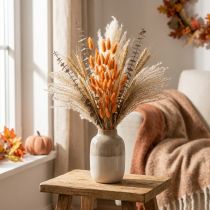 Artikel Lagurus Ovatus Getrocknet Apricot 50g 55–60cm Trockenblumen für Deko