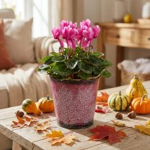 Artikel Metall-Übertopf mit Ahornblättern, Ø10cm, H10cm, weinrot, Herbstdeko