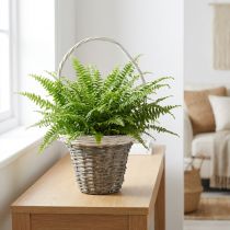 Artikel Weiden-Henkelkorb Grau Weiss Ø25 H45cm Pflanzkorb mit Folie