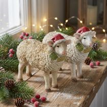 Artikel Weihnachtsfiguren Schaf mit Mütze und Schal aus Polyresin 16cm 2er Set