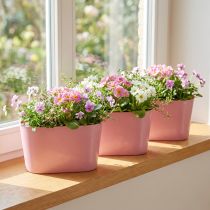 Artikel Pflanzschale oval Kunststoff Pink 20×10×11cm für Innenbereich 3er-Set