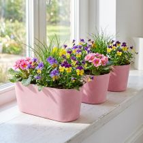 Artikel Pflanzschale oval Kunststoff Rosa 27×11×10cm 3er-Set für Innen- und Aussenbereich