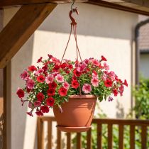 Artikel Blumenampel aus Kunststoff Ø30cm Terrakotta für Balkon und Terrasse