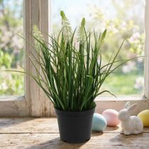 Artikel Deko Traubenhyazinthe aus Kunststoff Creme 26cm im Topf