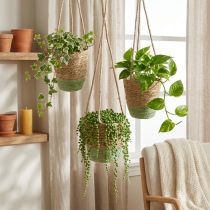 Artikel Pflanzenampel-Set aus Schilf und Jute, hängend, Ø19/17/15cm, Natur und Grün, 3-teilig