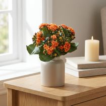 Artikel Flammendes Käthchen künstlich 24 cm Orange aus Kunststoff