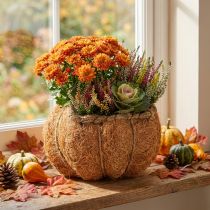 Artikel Pflanzkorb Kürbis aus Tamarindenfaser mit Folie Ø18cm H15cm Orange Herbstdeko