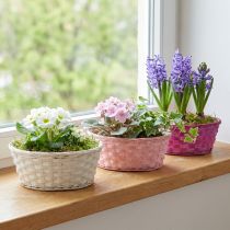 Artikel Runder Spankorb aus Holz Ø25cm in Lila, Weiss und Rosa mit Kunststofffolie, 6er-Set