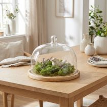 Artikel Glasglocke mit Holzteller Ø 22 cm H 16,5 cm – Deko- und Käseglocke für Innenbereich